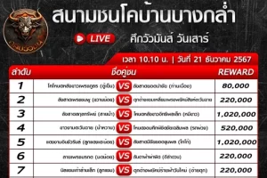 ปกวัวชน สนามชนโคบ้านบางกล่ำ 21 ธค 67